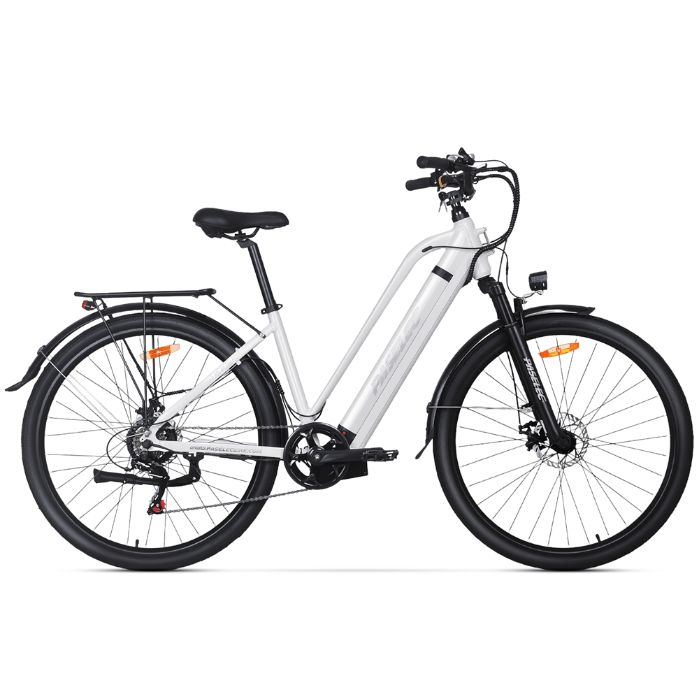PASELEC TX10 48V 1000W 19.2Ah Step-Through Urban Electric City Bike