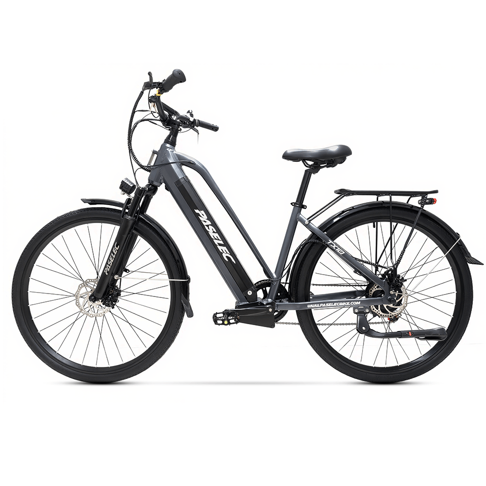 PASELEC TX10 48V 1000W 19.2Ah Step-Through Urban Electric City Bike