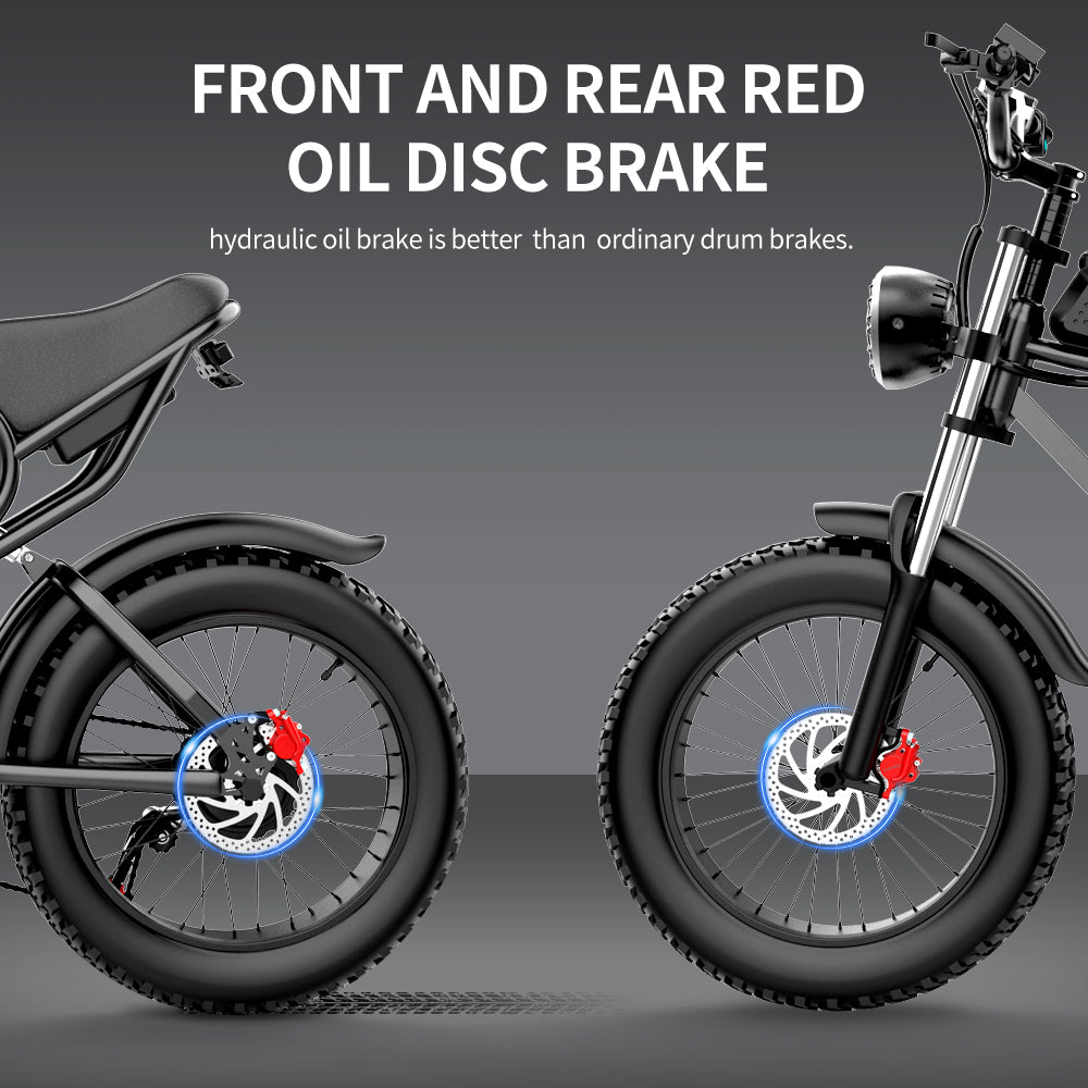 Ridstar Q20 48V 1000W 20AH Bike eléctrico