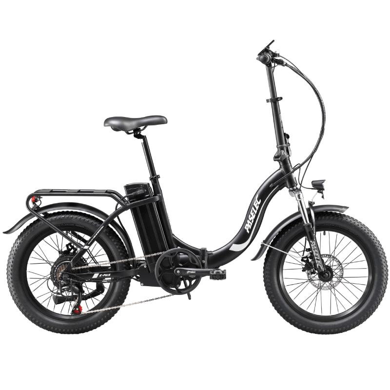 PASELEC PX3 48V 1000W 16AH BIICIA elétrica