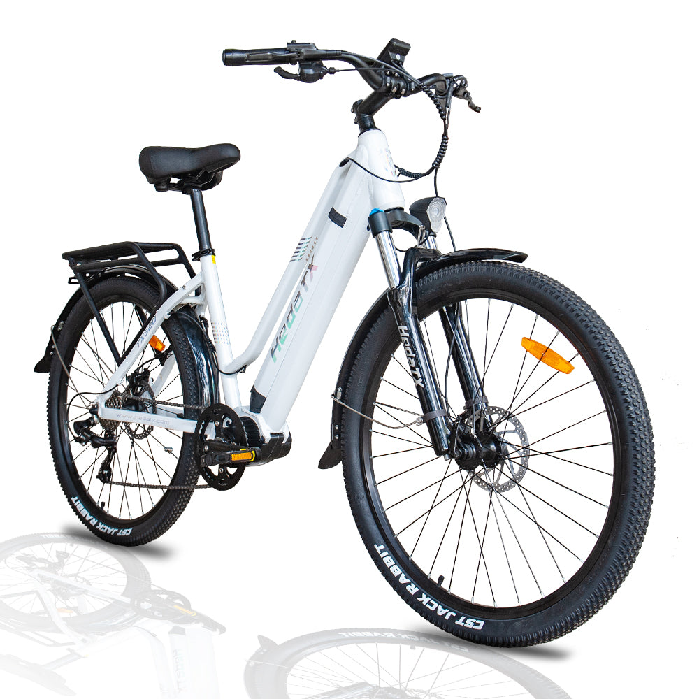 HEDATX TX520 48V 250W 13Ah Mid Motor Electric Bike
