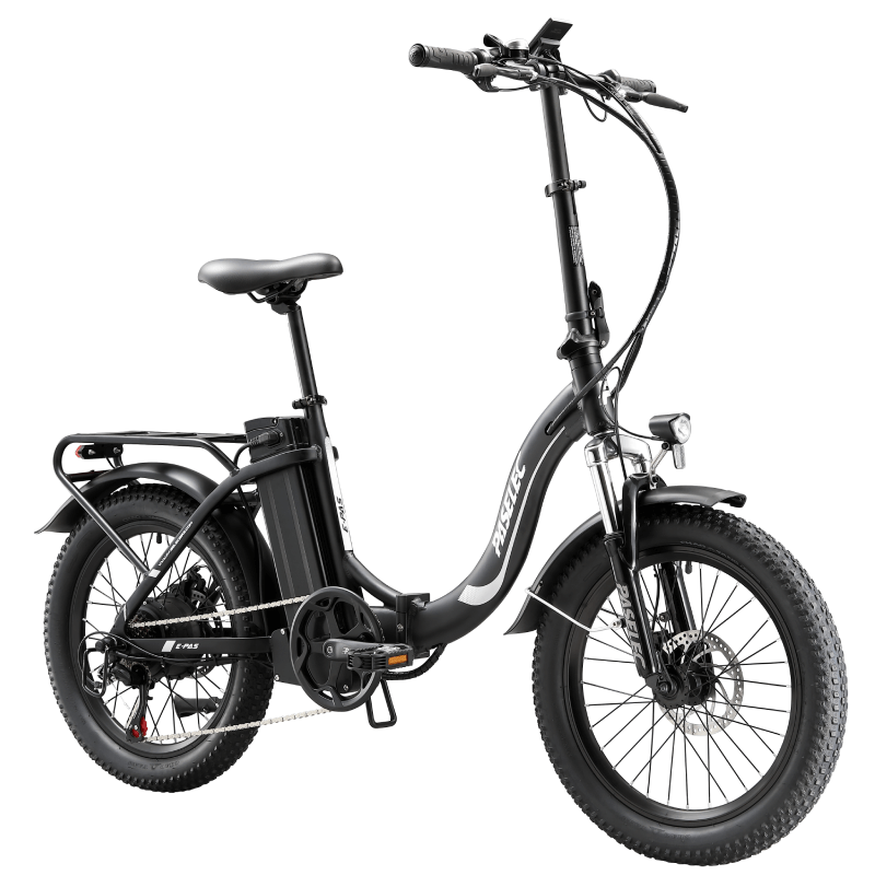 PASELEC PX3 48V 1000W 16AH BIICIA elétrica