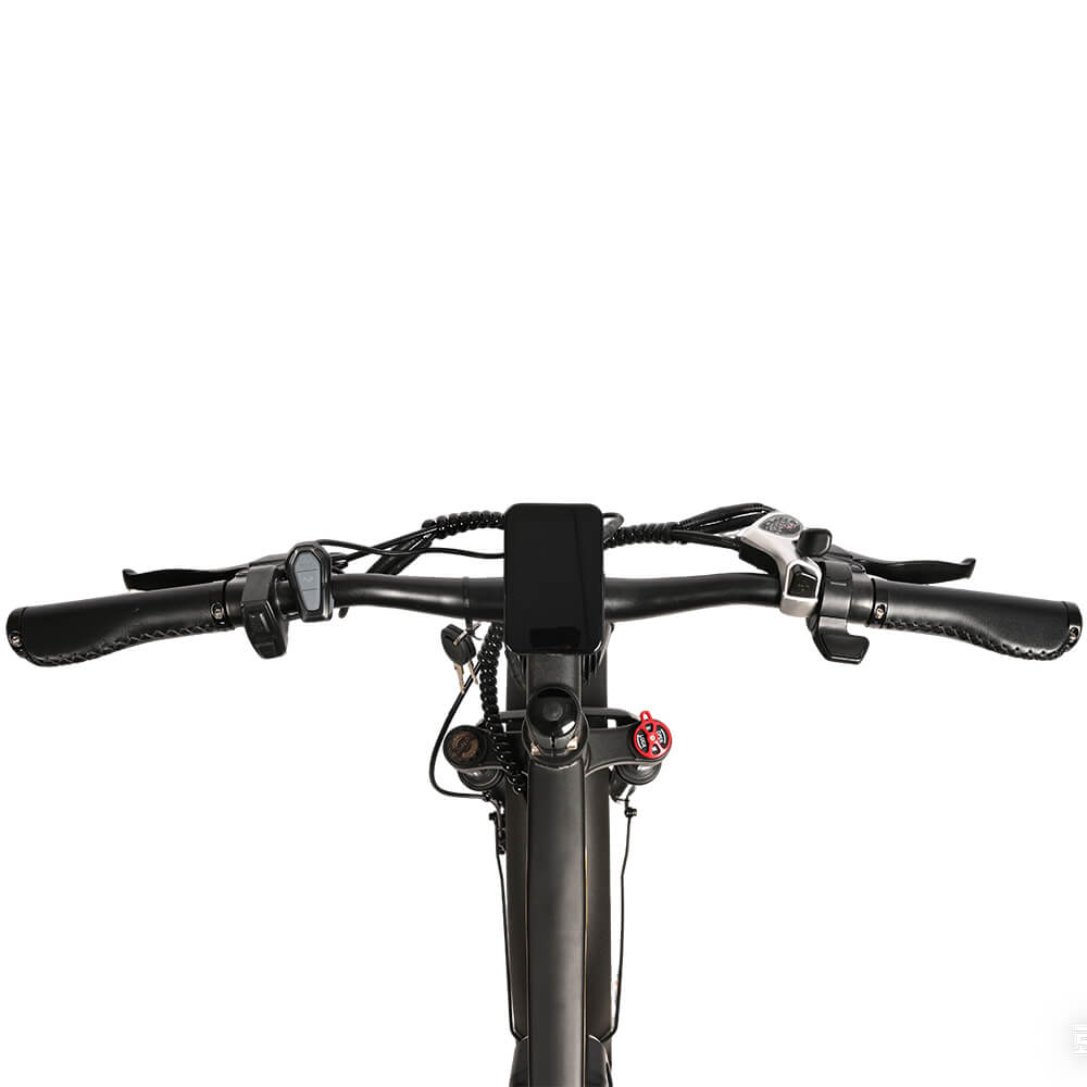 HEADEER BD2640 48V 750W 21.6Ah Fat Tire Electric Bike