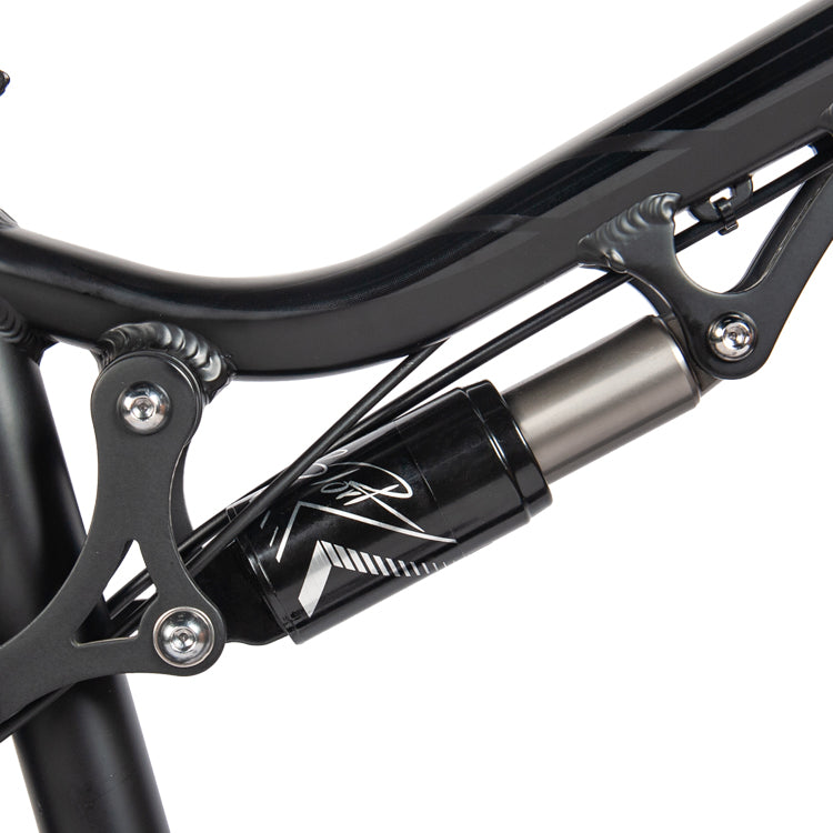 PASELEC GS9 48V 1000W 16AH bicicleta eléctrica
