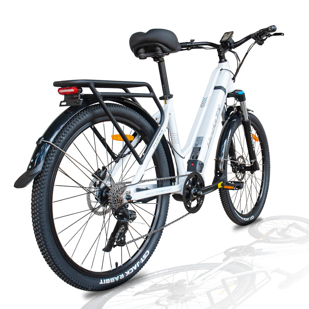 HEDATX TX520 48V 250W 13Ah Mid Motor Electric Bike