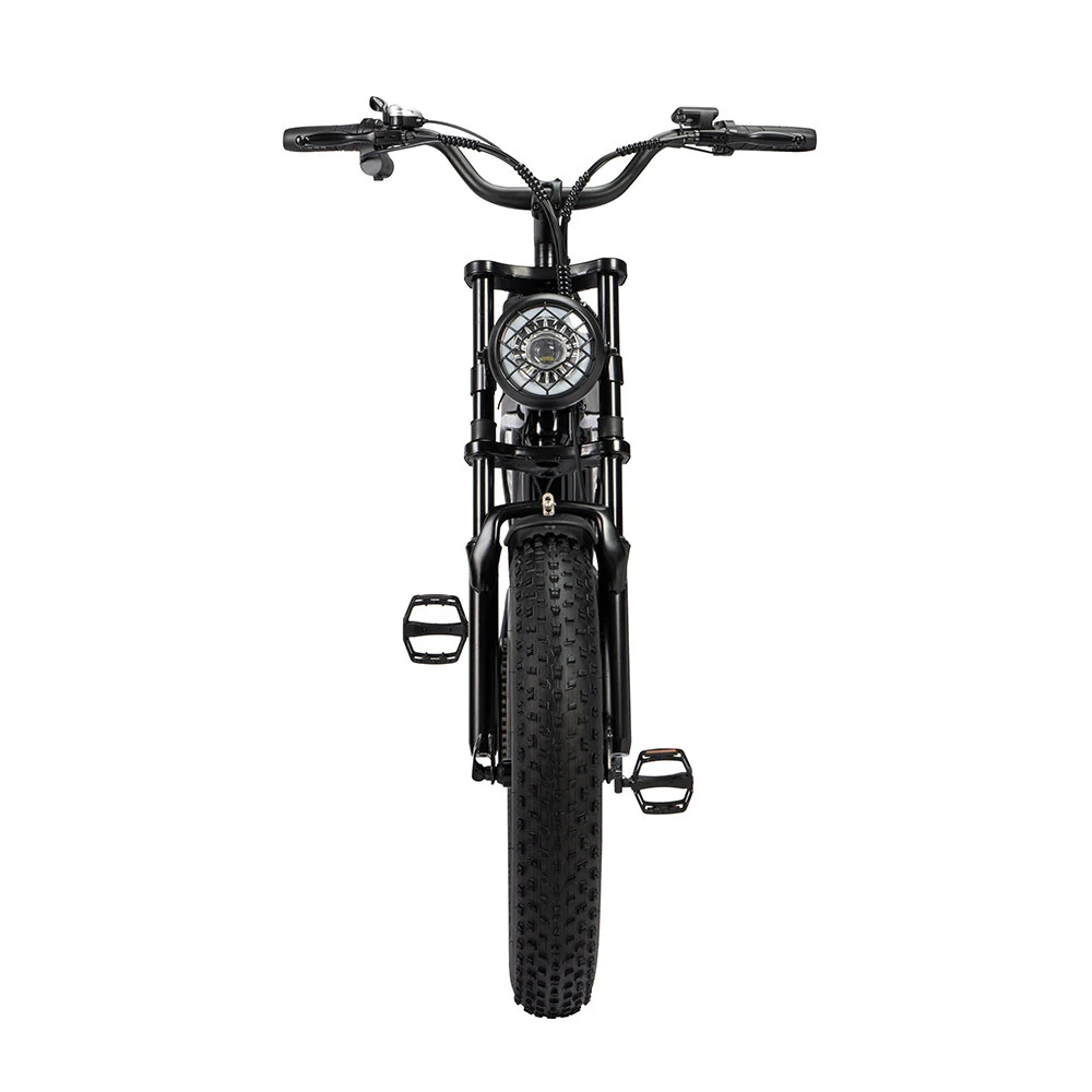 Ridstar Q20 48V 1000W 15AH Bike eléctrico
