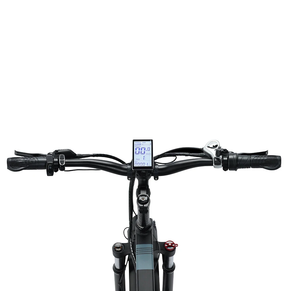 RidStar H20 48V 1000W 15AH BIICIA elétrica