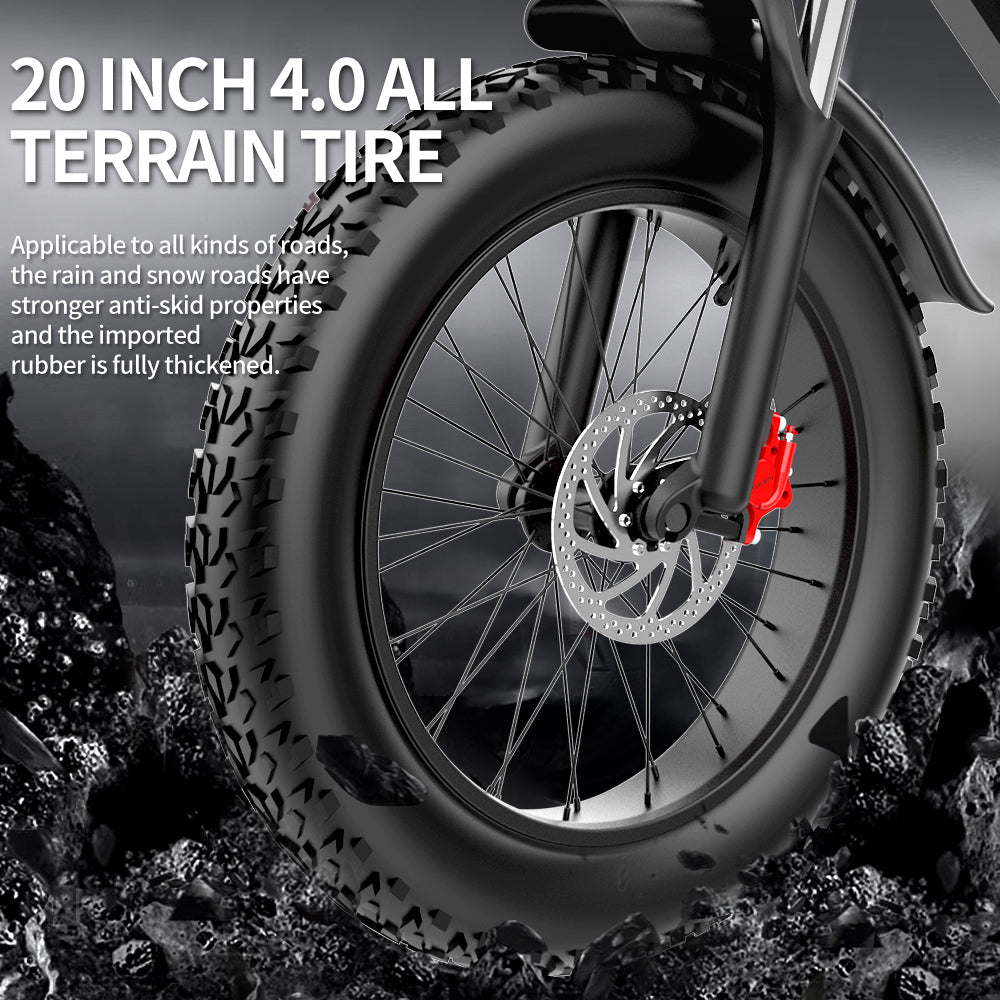 Ridstar Q20 48V 1000W 20AH Bike eléctrico