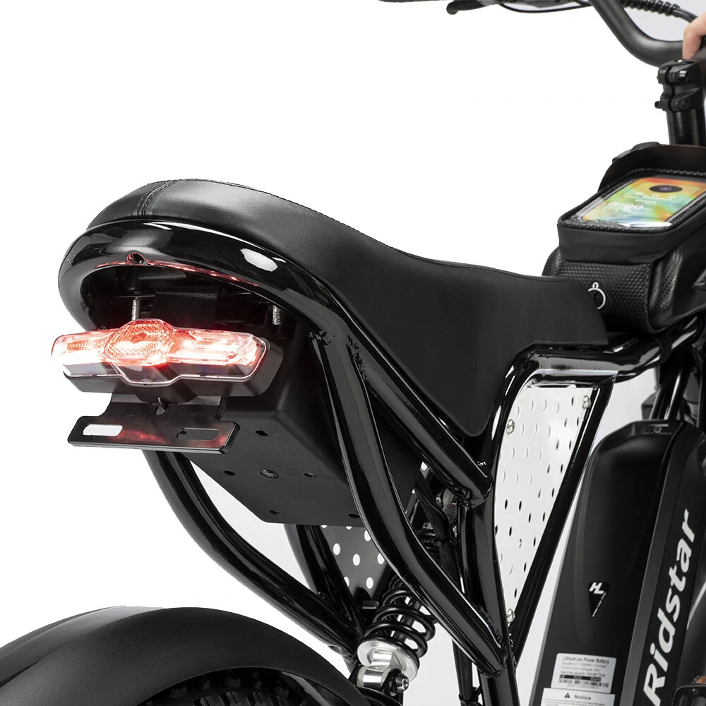 Ridstar Q20 48V 1000W 15AH Bike eléctrico