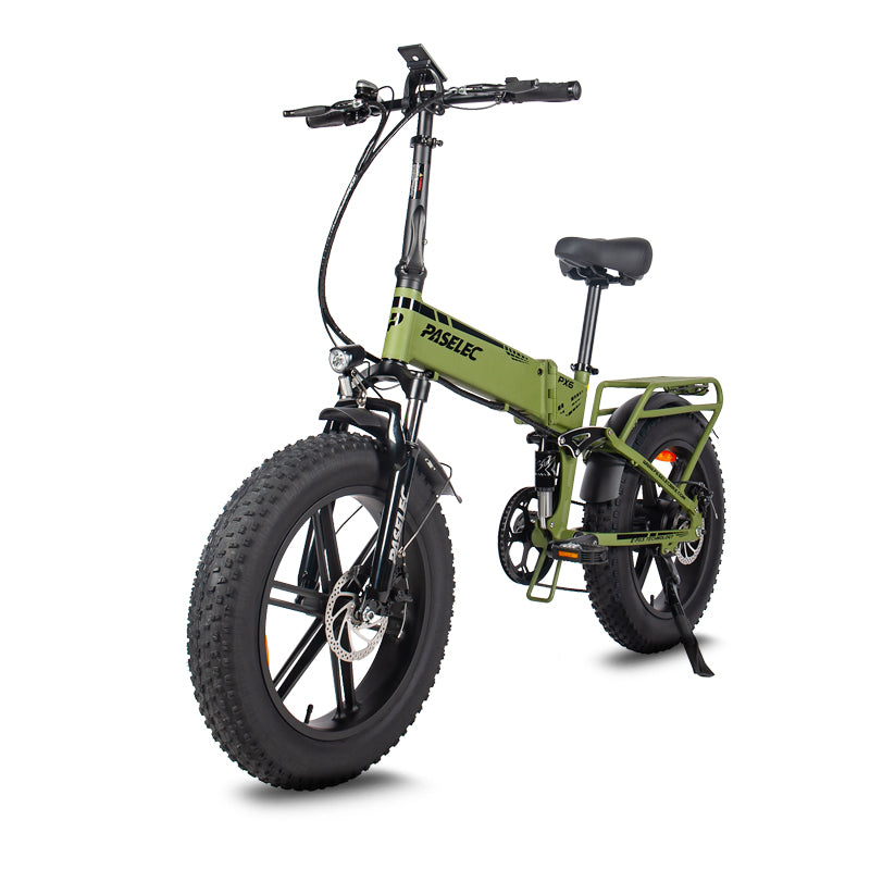 PASELEC PX6 48V 750W 13Ah Electric Bike