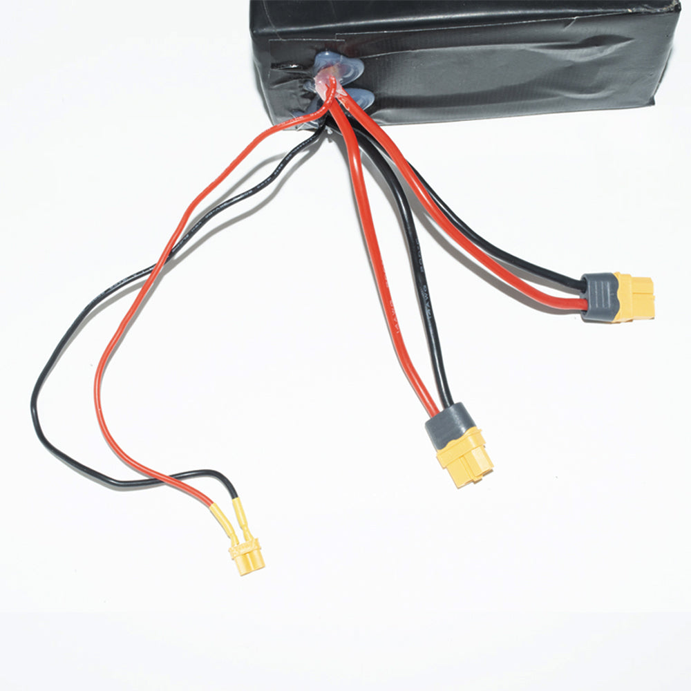 52V 21Ah Battery For HALO KNIGHT T104