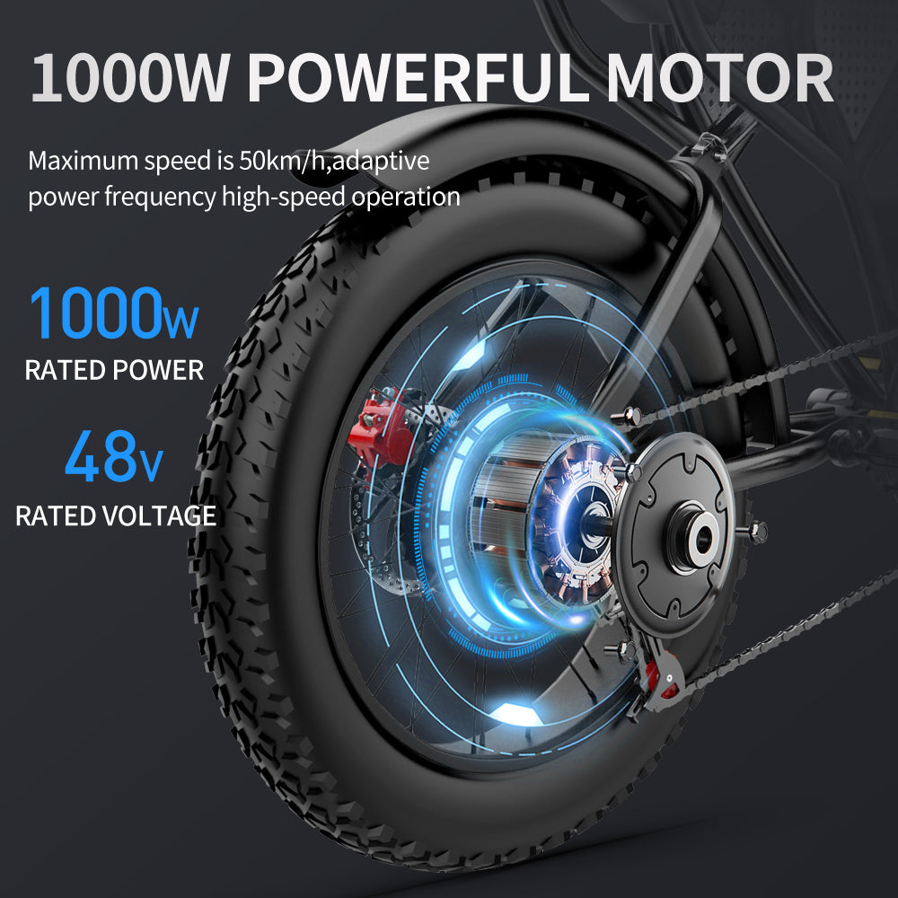 Ridstar Q20 48V 1000W 20AH Bike eléctrico