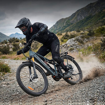 HedaTX TX19 29” 48V 19.2Ah 1000W Electric Bike with Rear Rack