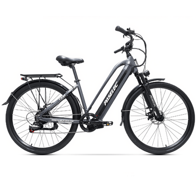 PASELEC TX10 48V 1000W 19.2Ah Step-Through Urban Electric City Bike