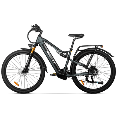 HedaTX TX19 29” 48V 19.2Ah 1000W Electric Bike with Rear Rack