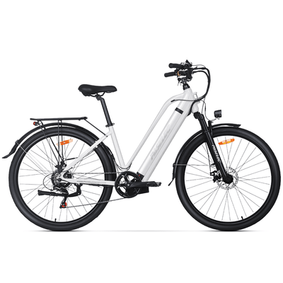 PASELEC TX10 48V 1000W 19.2Ah Step-Through Urban Electric City Bike