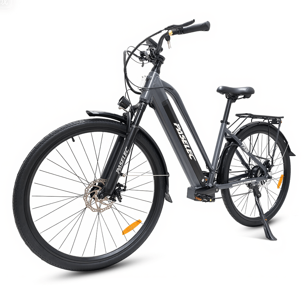 PASELEC TX10 48V 1000W 19.2Ah Step-Through Urban Electric City Bike