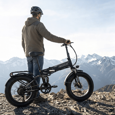 PASELEC PX6 48V 1000W 13Ah Foldable Fat Tire Electric Bike