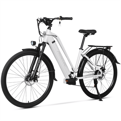 PASELEC TX10 E-Bike