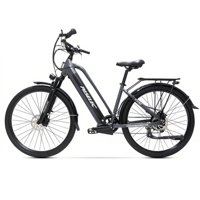PASELEC TX10 48V 1000W 19.2Ah Step-Through Urban Electric City Bike