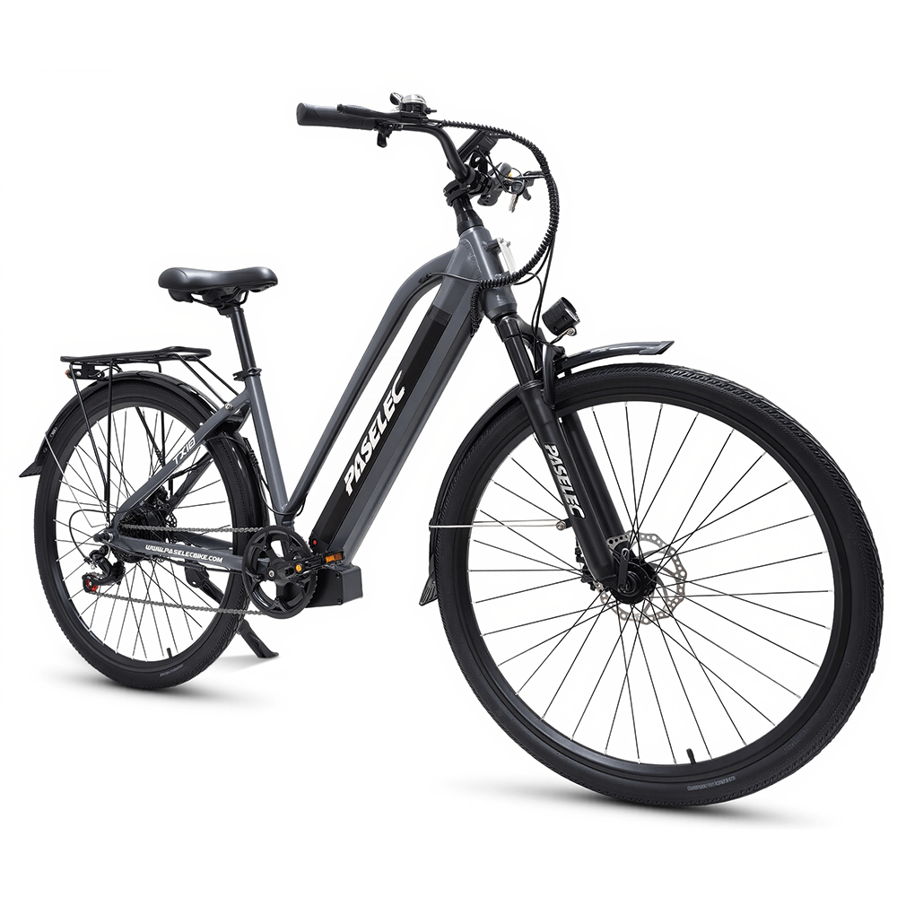 PASELEC TX10 48V 1000W 19.2Ah Step-Through Urban Electric City Bike