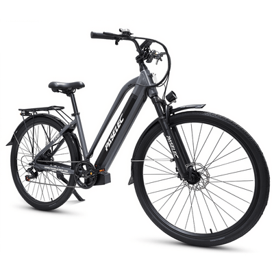 PASELEC TX10 48V 1000W 19.2Ah Step-Through Urban Electric City Bike