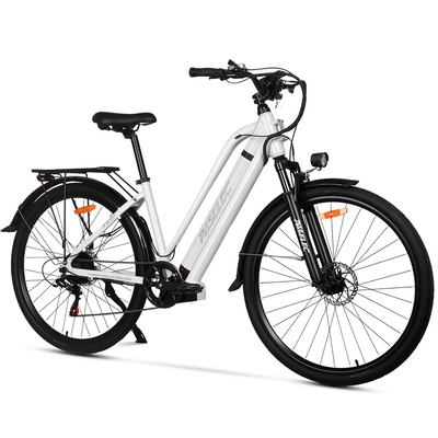 PASELEC TX10 48V 1000W 19.2Ah Step-Through Urban Electric City Bike