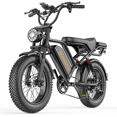 HEADEER BK20 48V 20Ah 750W Electric Bike