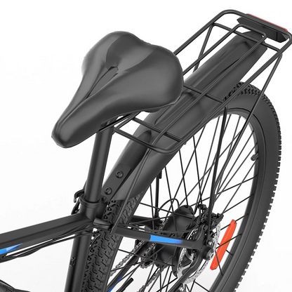 Ridstar S29Pro 48V 1000W 21AH Bike eléctrico