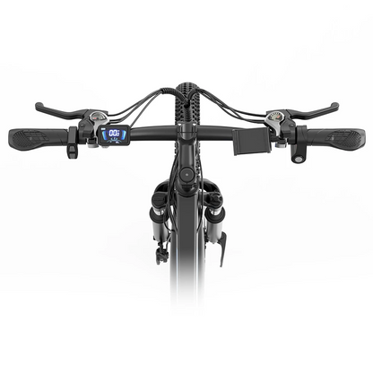 Ridstar S29Pro 48V 1000W 21AH Bike eléctrico