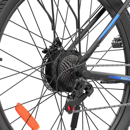 Ridstar S29Pro 48V 1000W 21AH Bike eléctrico