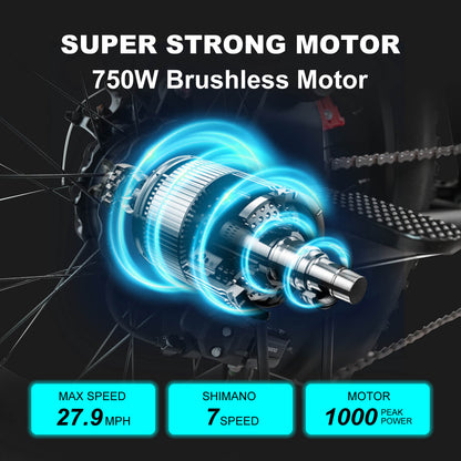 VOLTCYCLE M3 48V 750W 18.2Ah Electric Bike