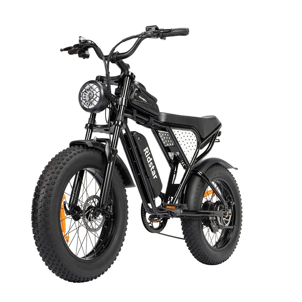 Ridstar Q20 48V 1000W 15AH Bike eléctrico