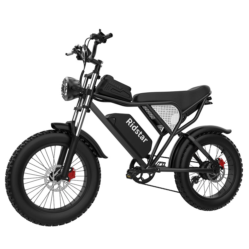 Ridstar Q20 48V 1000W 20AH Bike eléctrico