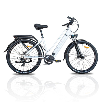 HEDATX TX520 48V 250W 13Ah Mid Motor Electric Bike