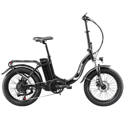 PASELEC PX3 48V 1000W 16AH BIICIA elétrica