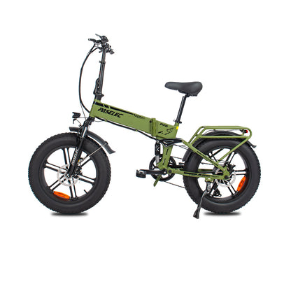 PASELEC PX6 48V 750W 13Ah Electric Bike