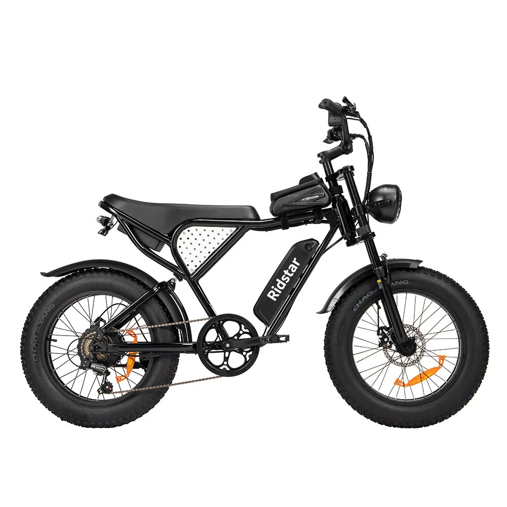 Ridstar Q20 48V 1000W 15AH Bike eléctrico