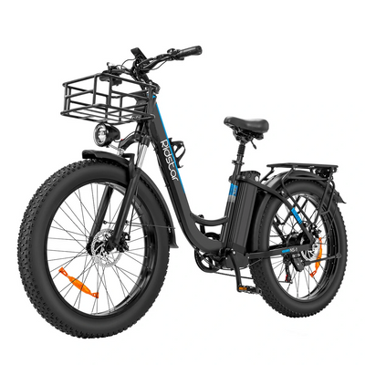 Ridstar MN-26 48V 1500W 20Ah Electric Bike