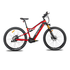 Hedatx TX19 29‘’ 48V 1000W 19.2Ah Electric Bike