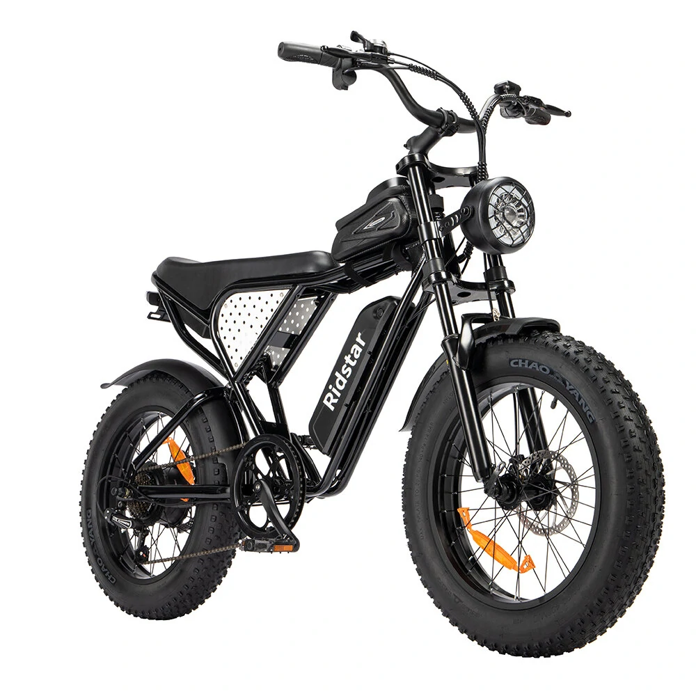 Ridstar Q20 48V 1000W 15AH Bike eléctrico