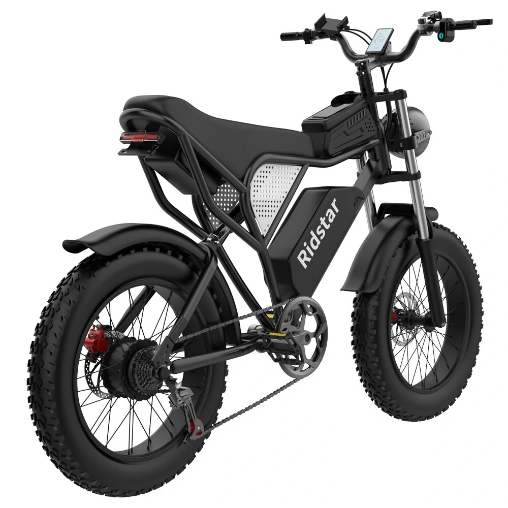 Ridstar Q20 48V 1000W 20AH Bike eléctrico