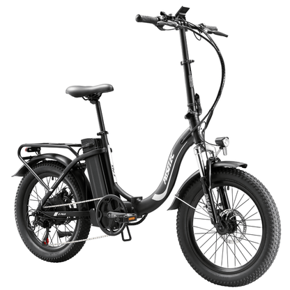PASELEC PX3 48V 1000W 16AH BIICIA elétrica