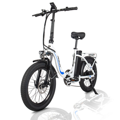 PASELEC PX3 48V 1000W 16AH BIICIA elétrica