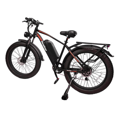 HEADEER BD2640 48V 750W 21.6Ah Fat Tire Electric Bike