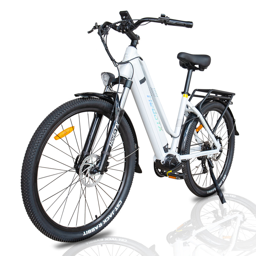 HEDATX TX520 48V 250W 13Ah Mid Motor Electric Bike
