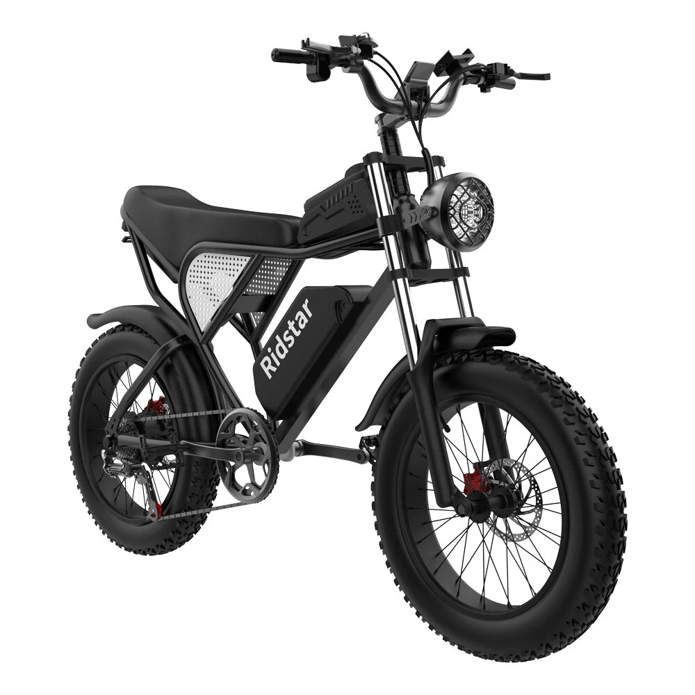 Ridstar Q20 48V 1000W 20AH Bike eléctrico