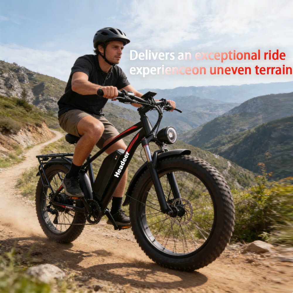 HEADEER BD2640 48V 750W 21.6Ah Fat Tire Electric Bike