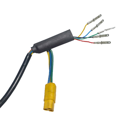 HM 52V 1000W Brushless Motor for T104 with Panda Display