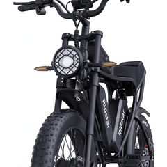 Ridstar Q20 Pro 48V 2000V 40Ah Dual Motor Electric Bike